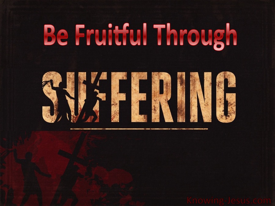 Be Fruitful Through Suffering (devotional)